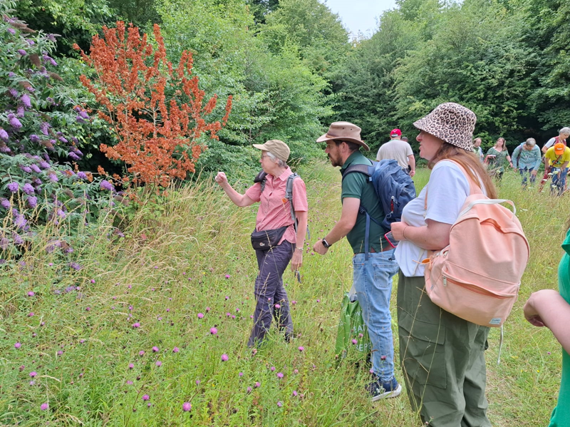 CPRE Hampshire project